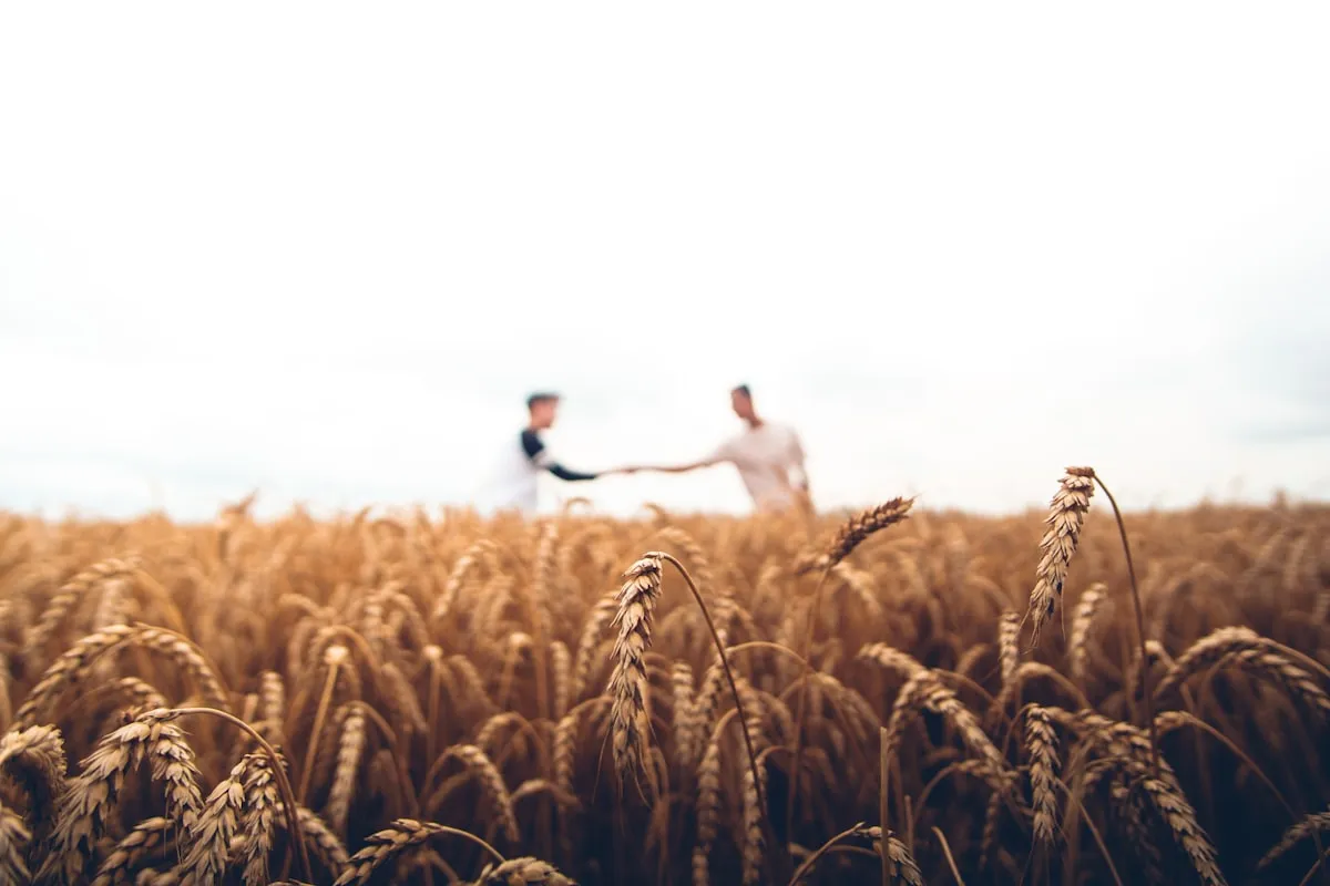 Plantação agrícola com tecnologia de gestão